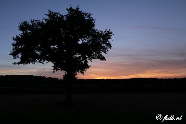 IMG_4769.jpg