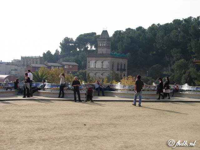 DSC01971.jpg
