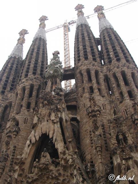 DSC01998.jpg