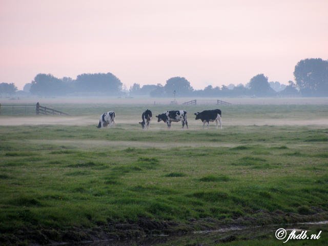 IMG_1078.jpg