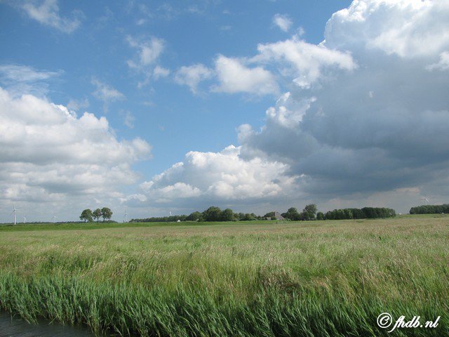 IMG_9553.jpg