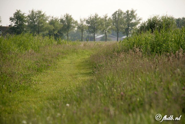 _MG_6707.jpg