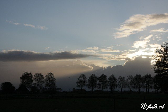 IMG_1866.jpg