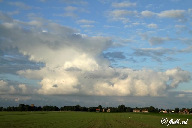 IMG_4564.jpg