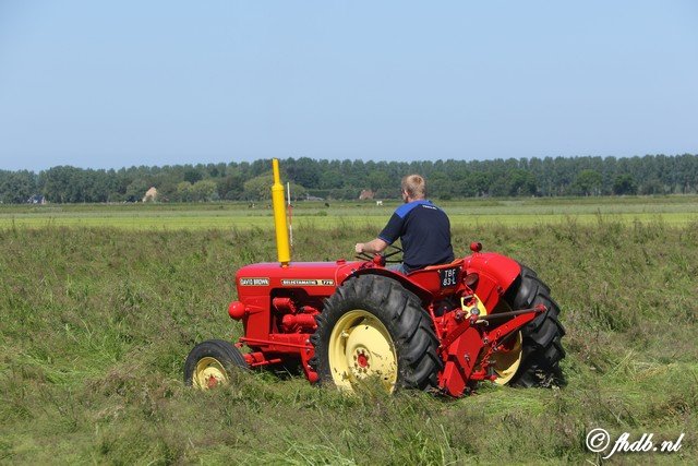 DG8A8250.jpg