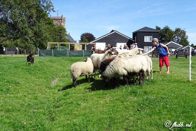 DSC08674.jpg