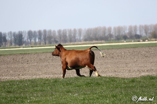 DG8A4983.jpg