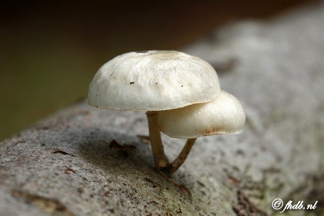 DG8A3618.jpg