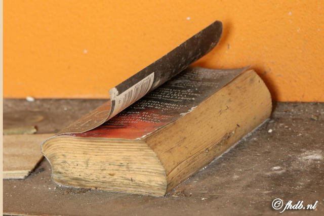 DG8A8144.JPG