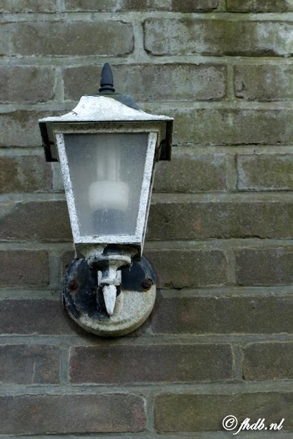 DG8A8601.JPG