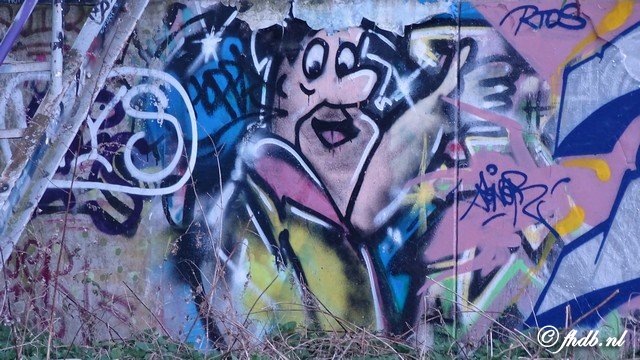 DSC00300.jpg