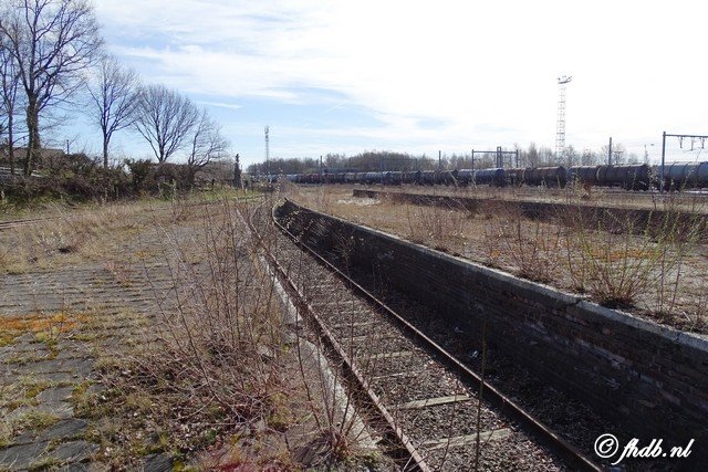 DSC00580.jpg