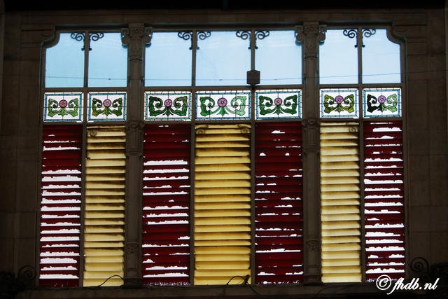 DG8A0175.JPG
