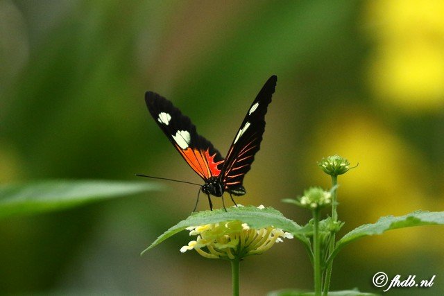 DG8A0365.jpg
