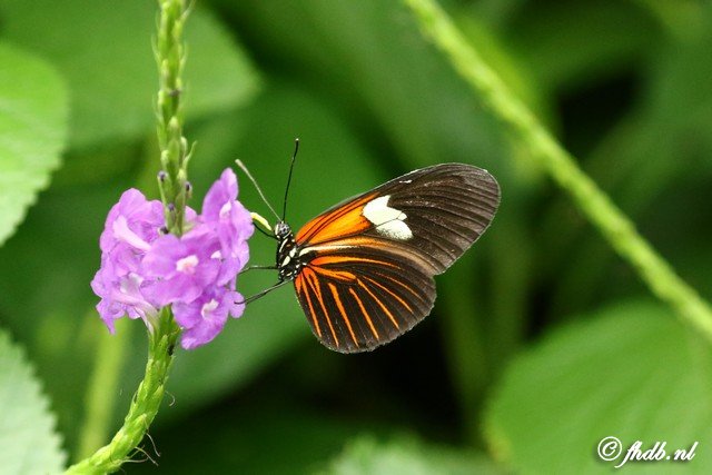 DG8A0774.jpg