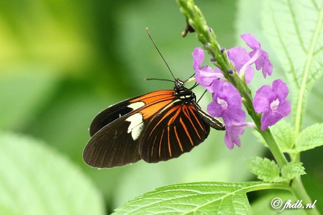 DG8A0830.jpg