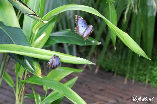 IMG_0449b.jpg