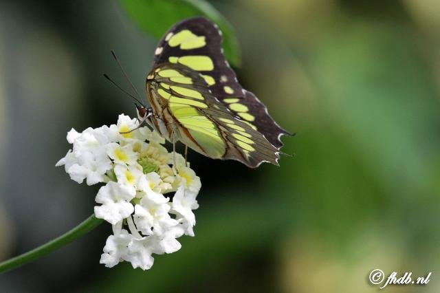 IMG_0607b.jpg