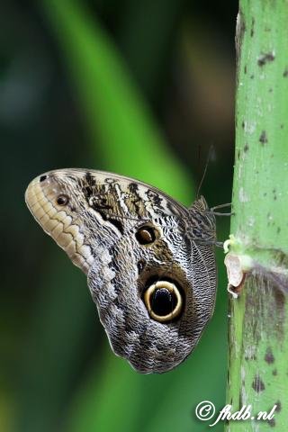 IMG_0629b.jpg