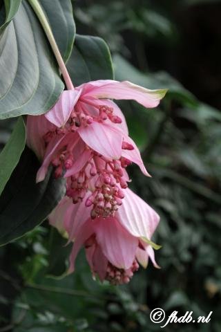 IMG_4462.jpg