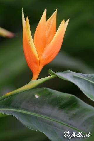 IMG_4490.jpg