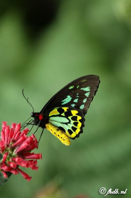 IMG_6187b.jpg