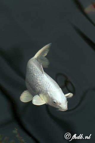 IMG_9901.jpg