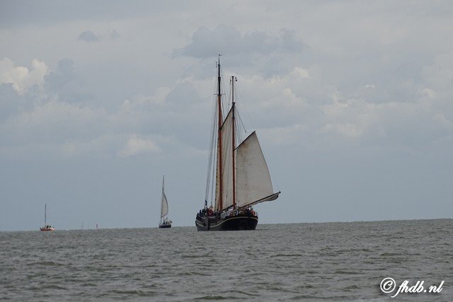 DSC07790.jpg