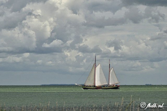 DSC07836.jpg