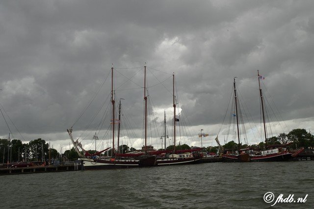DSC07975.jpg